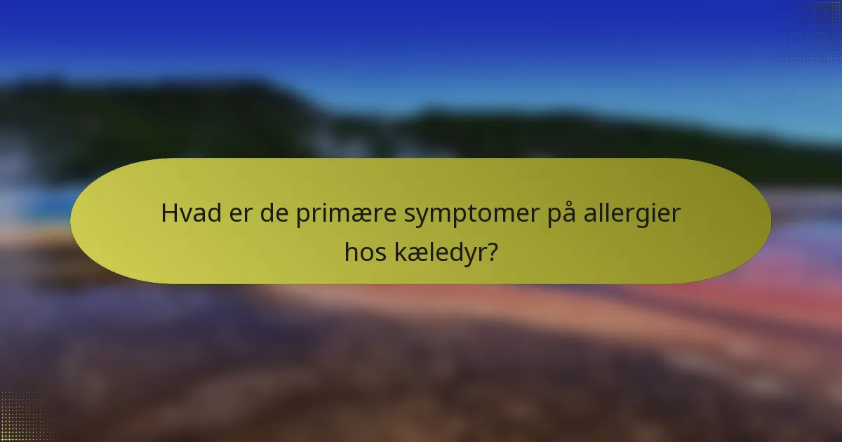 Hvad er de primære symptomer på allergier hos kæledyr?