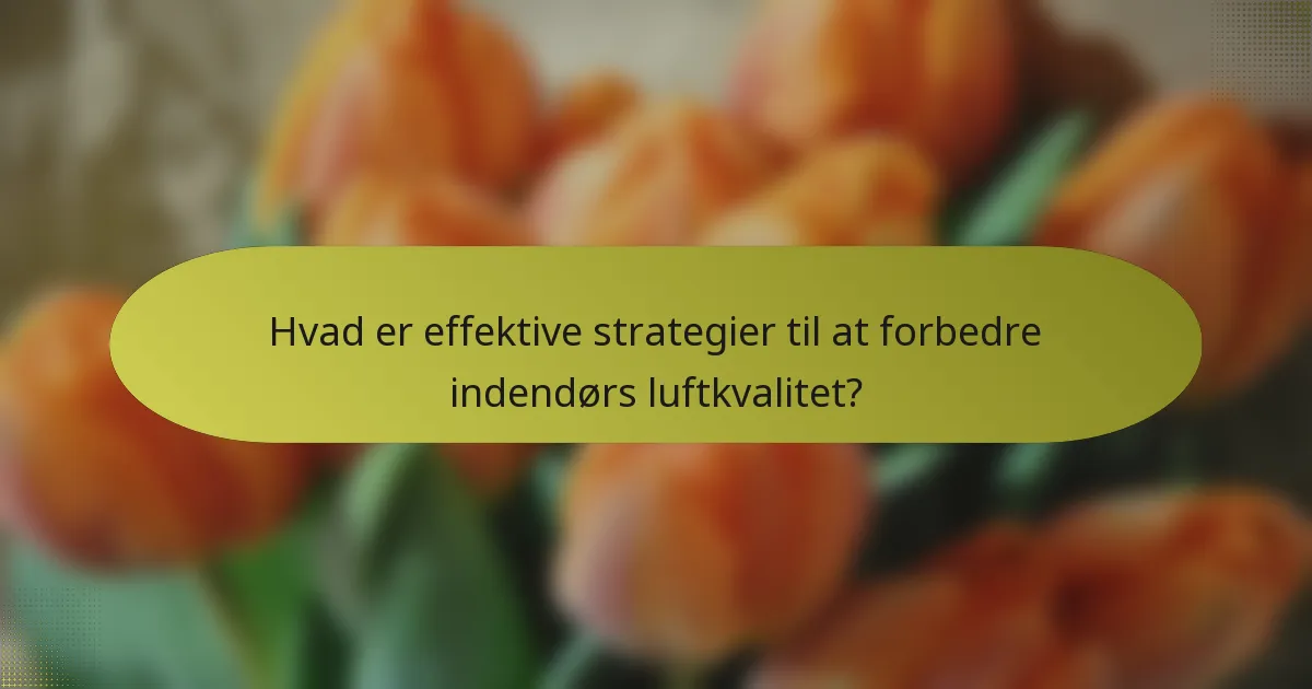 Hvad er effektive strategier til at forbedre indendørs luftkvalitet?