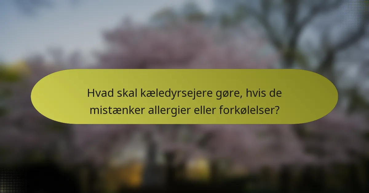 Hvad skal kæledyrsejere gøre, hvis de mistænker allergier eller forkølelser?