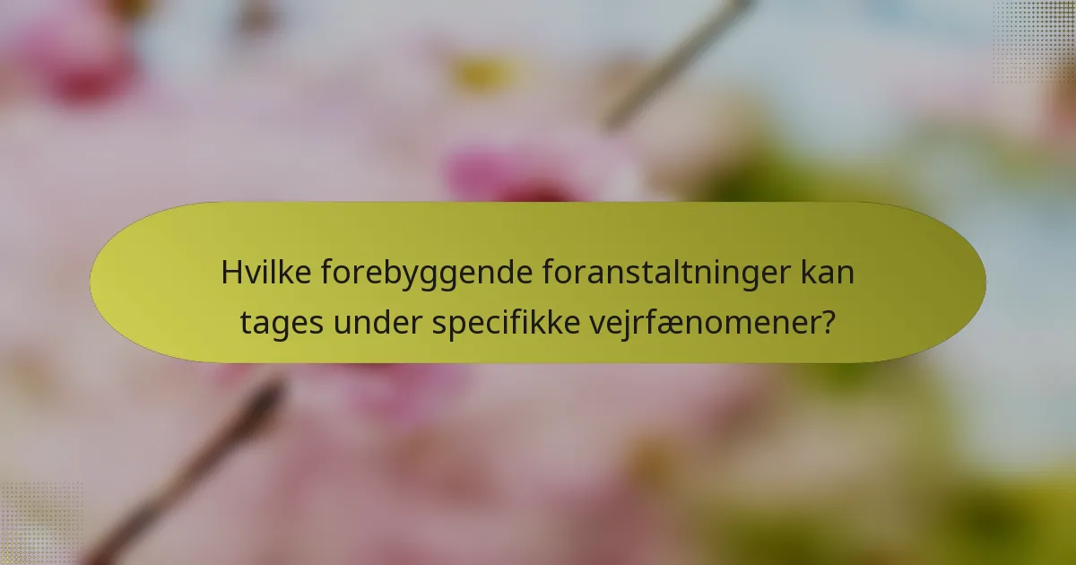 Hvilke forebyggende foranstaltninger kan tages under specifikke vejrfænomener?