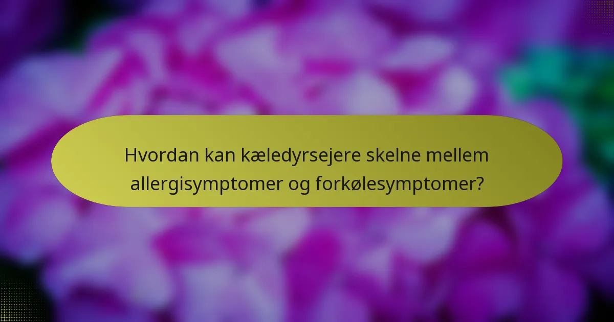 Hvordan kan kæledyrsejere skelne mellem allergisymptomer og forkølesymptomer?