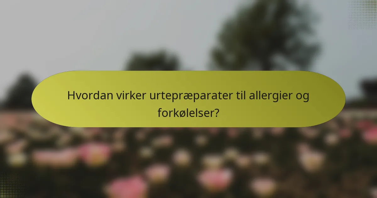 Hvordan virker urtepræparater til allergier og forkølelser?